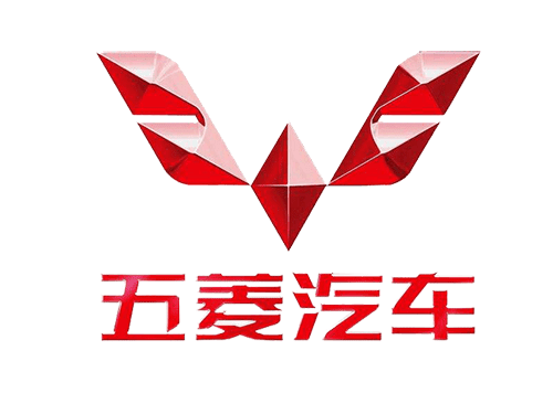 📂五菱宝骏 | 专检 诊断编程 VDS_V1.01.77 离线激活版 五菱宏光荣光之光 RC RM RS（普通会员免费激活1次）