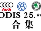 📂大众奥迪 | 专检系统 2026.3 ODIS-E 21.0.1 破解版免注册版 [安装教程+破解补丁]（5.6G）