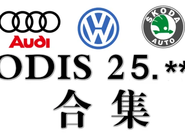 📂大众奥迪 | 专检系统 2025.8 ODIS-S 25.0.3 破解版免注册版 [视频教程+破解补丁]（42.5G）